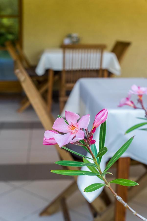 Bed and Breakfast Regia Panzio à Halászi Extérieur photo
